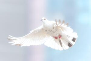 https://www.facebook.com/profile.php?id=100063484929929