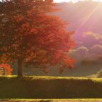 28 Quotes To Inspire Positivity