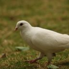 To Help The Less Fortunate Is A Blessing