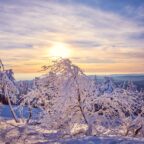 The Only Five Positive Affirmations You May Ever Need