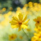 15 Affirmations To Kick Start Your Day
