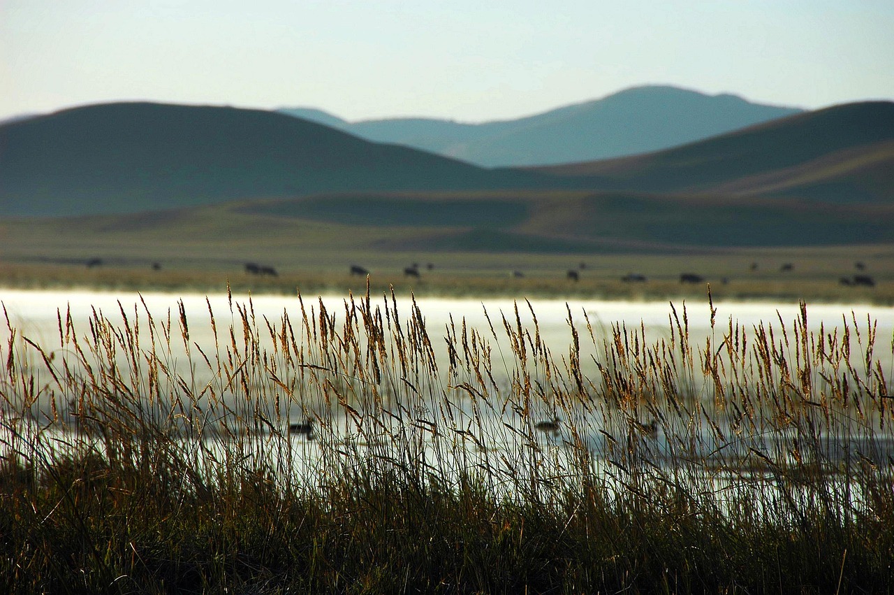 A Bruised Reed Will Not Break - Positivity Post