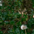 How To Stay Positive Even In These Challenging Times