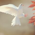 Hatred Destroys But Kindness Heals